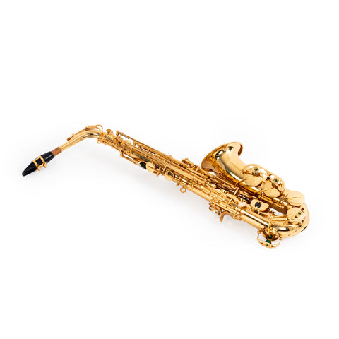 100AS - Elkhart 100AS student Eb alto saxophone outfit Default title