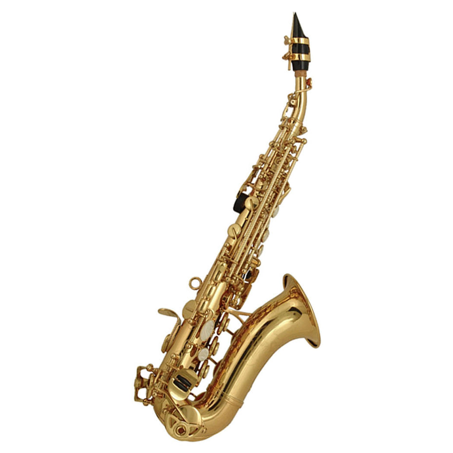 100SSU - Elkhart 100SSU student Bb curved soprano saxophone outfit Default title