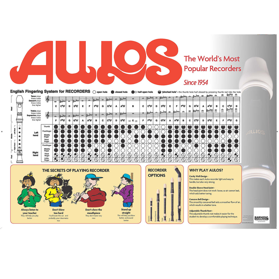 205-20PACK - Aulos 205A Robin descant recorders - Pack of 20 recorders Default title