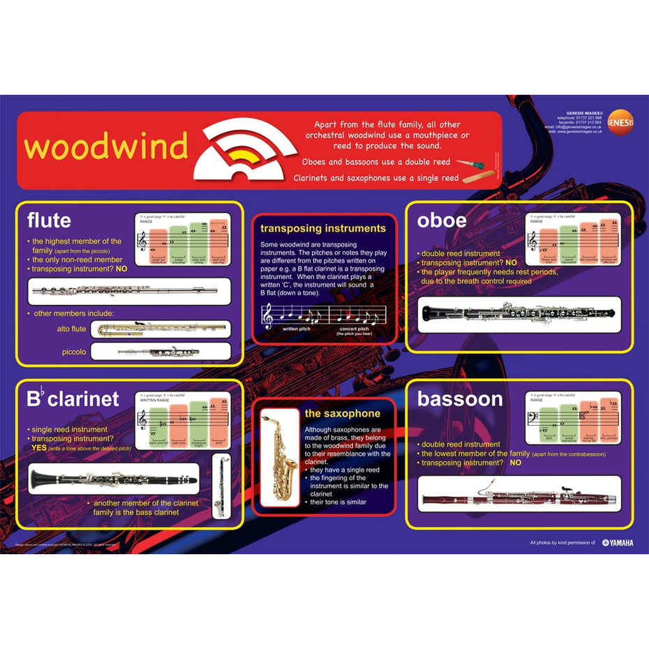 GNS-22 - Woodwind instruments - A1 educational poster Default title