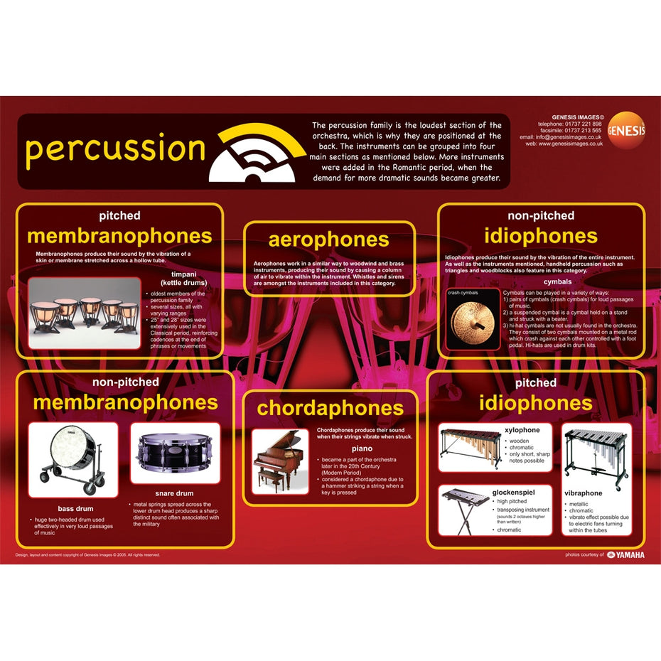 GNS-23 - Percussion instruments - A1 educational poster Default title