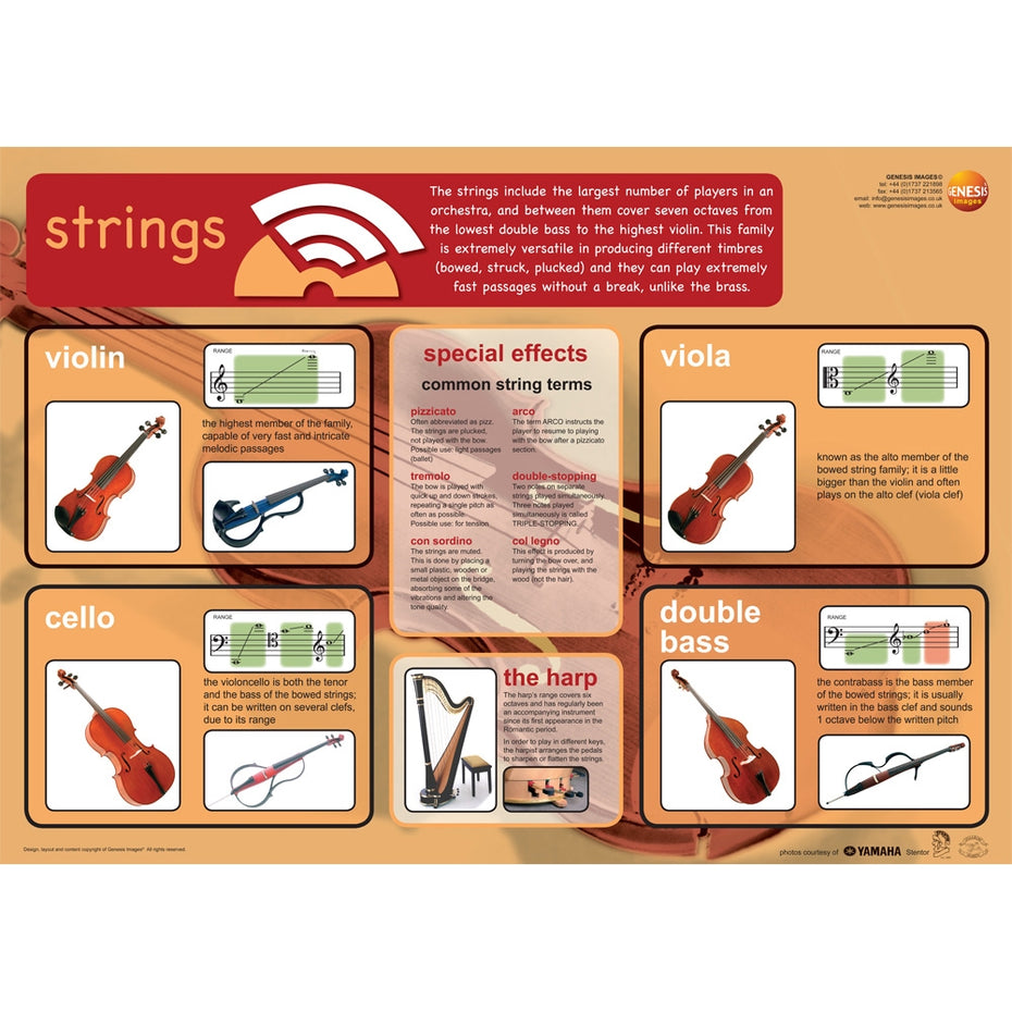 GNS-42 - Musical instruments - pack of 8 educational posters Default title