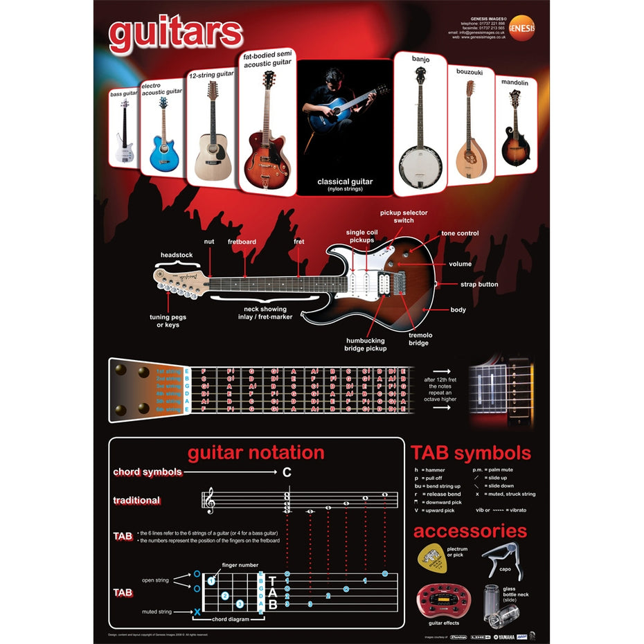 GNS-25 - Guitars - A1 educational poster Default title