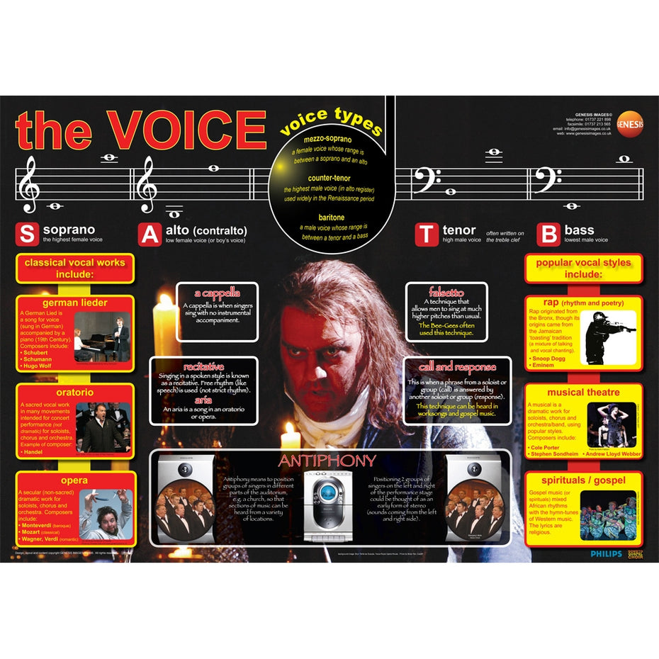GNS-26 - The human voice - A1 educational poster Default title
