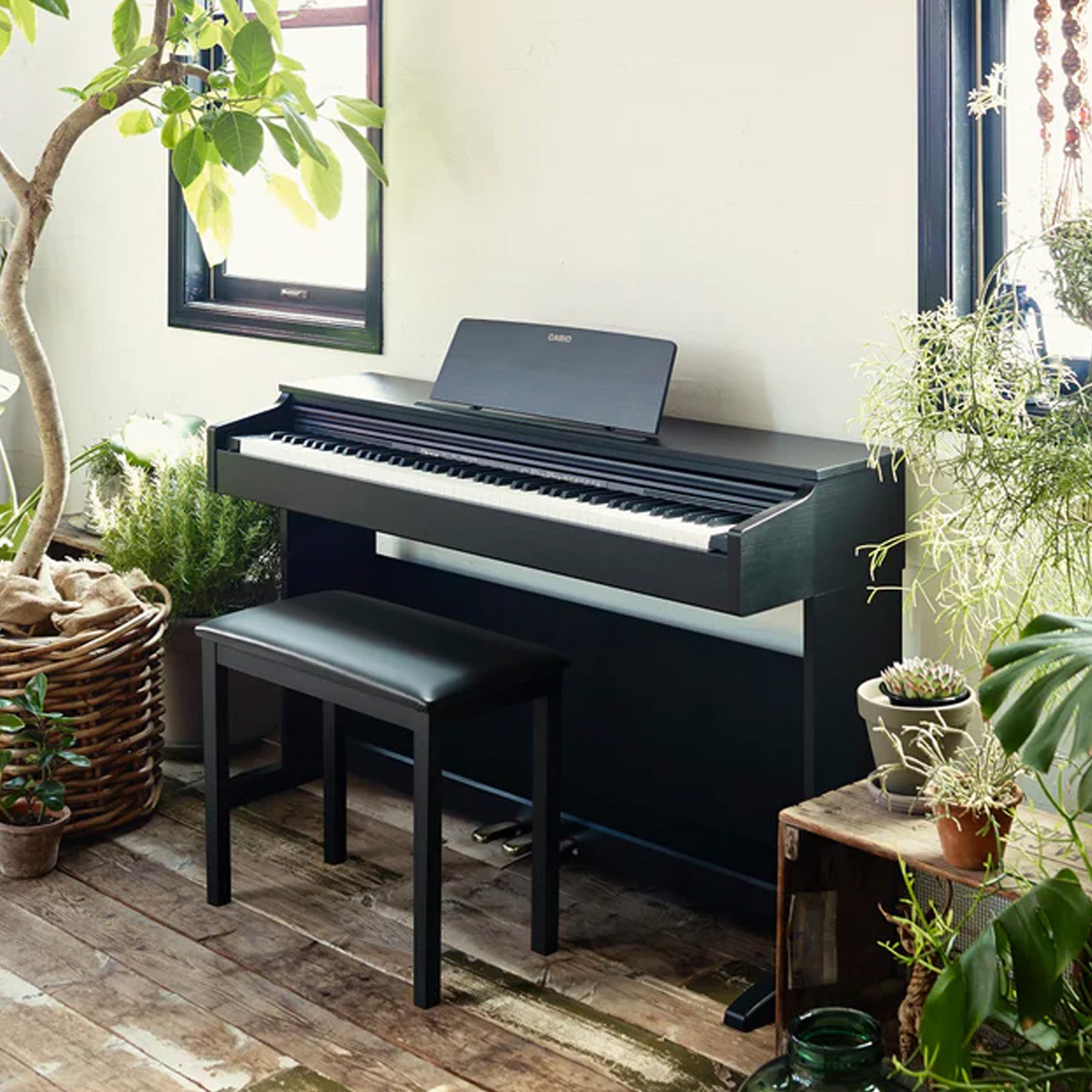 Casio Celviano AP-270 digital piano Chamberlain Music