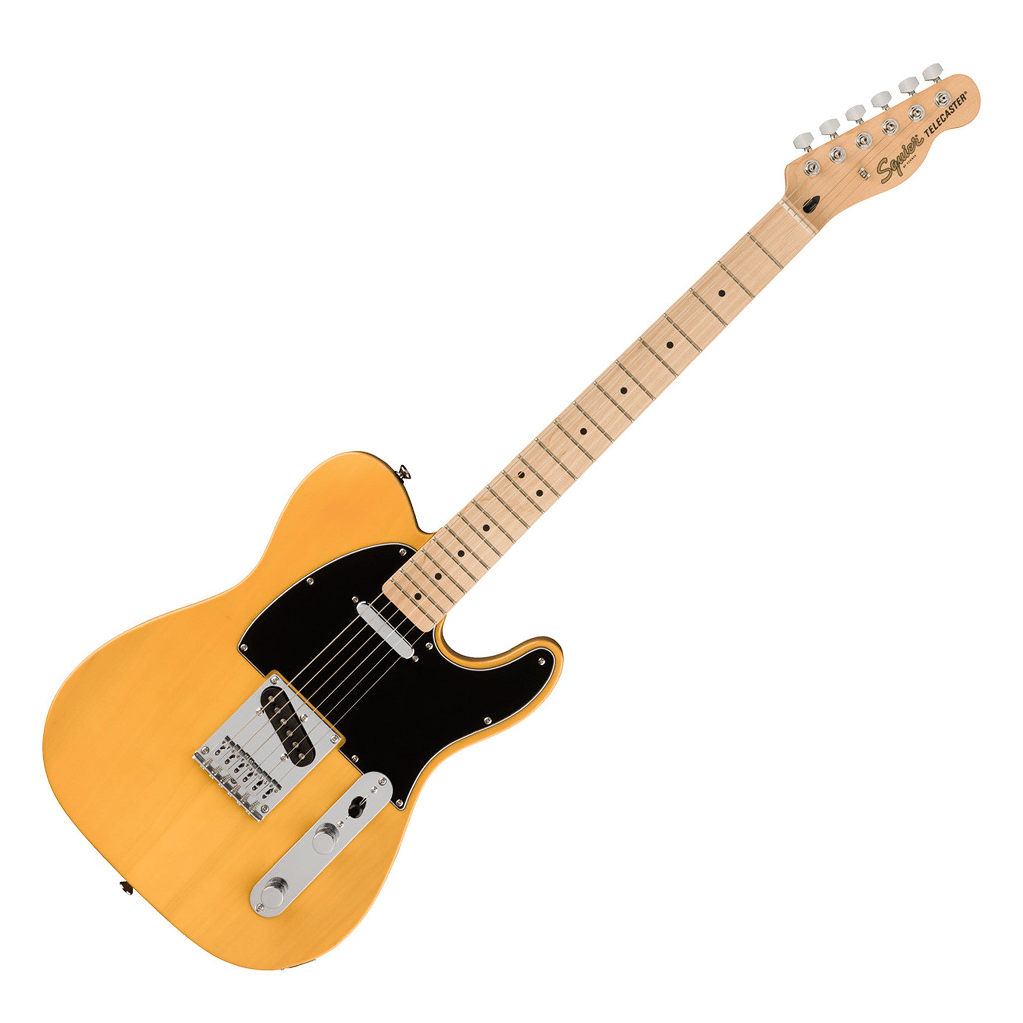 ギター Squier AffinitySeries TelecasterThinline Squier by Fender / Affinity Series Telecaster Thinline Maple