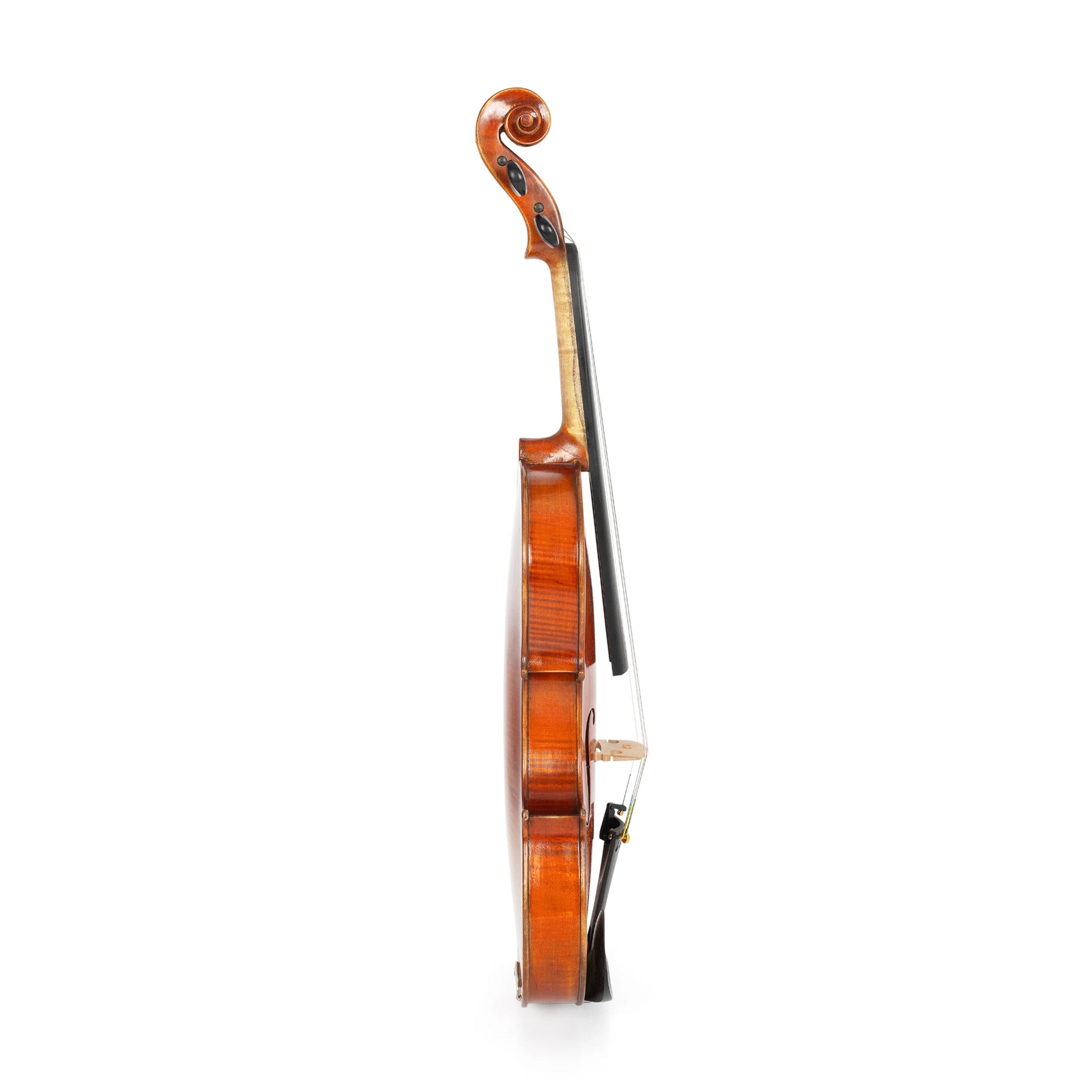 MMX 800 Soloist A grade 4/4 violin | Chamberlain Music