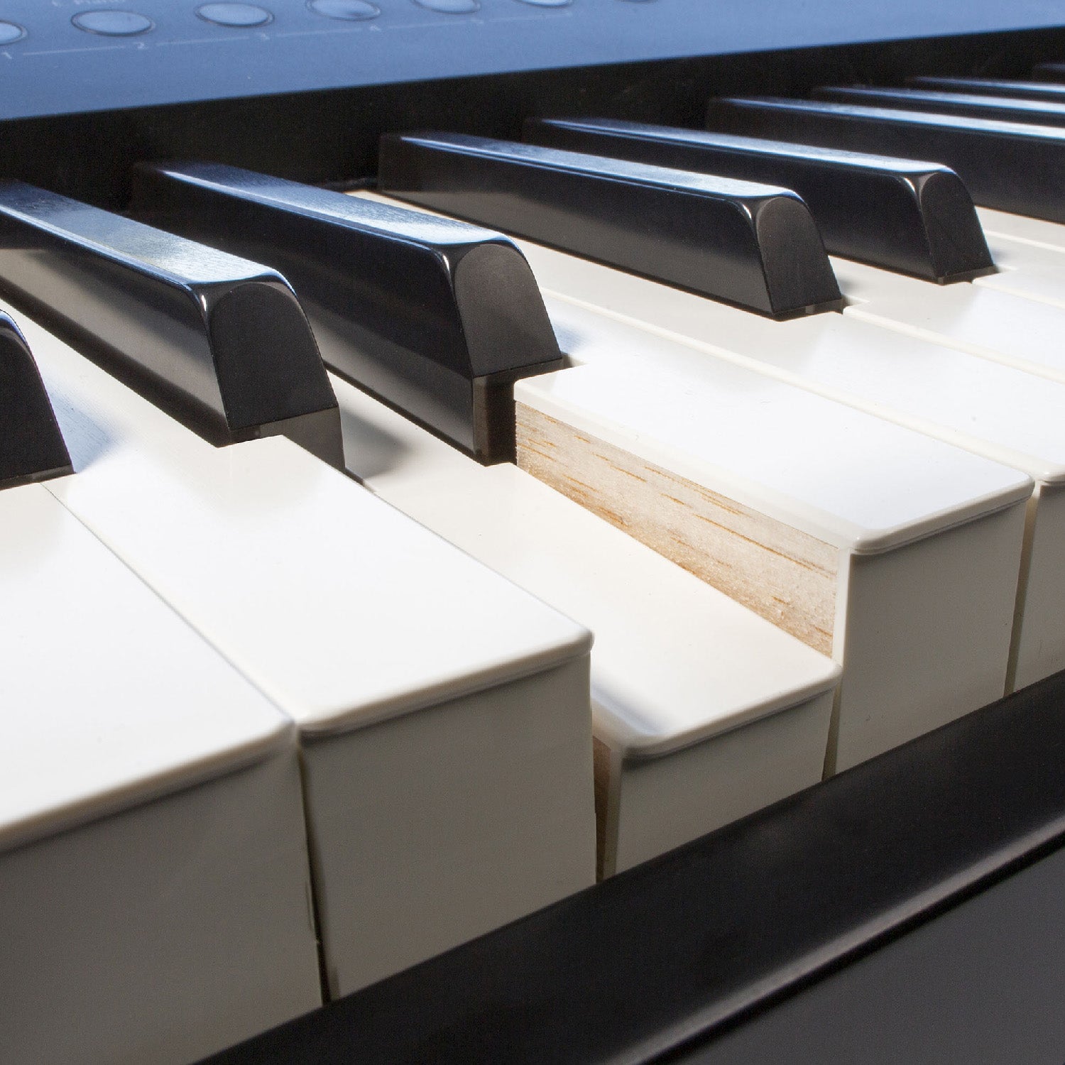 FP-90X-BK,FP-90X-WH - Roland FP-90X portable digital piano Black / A1