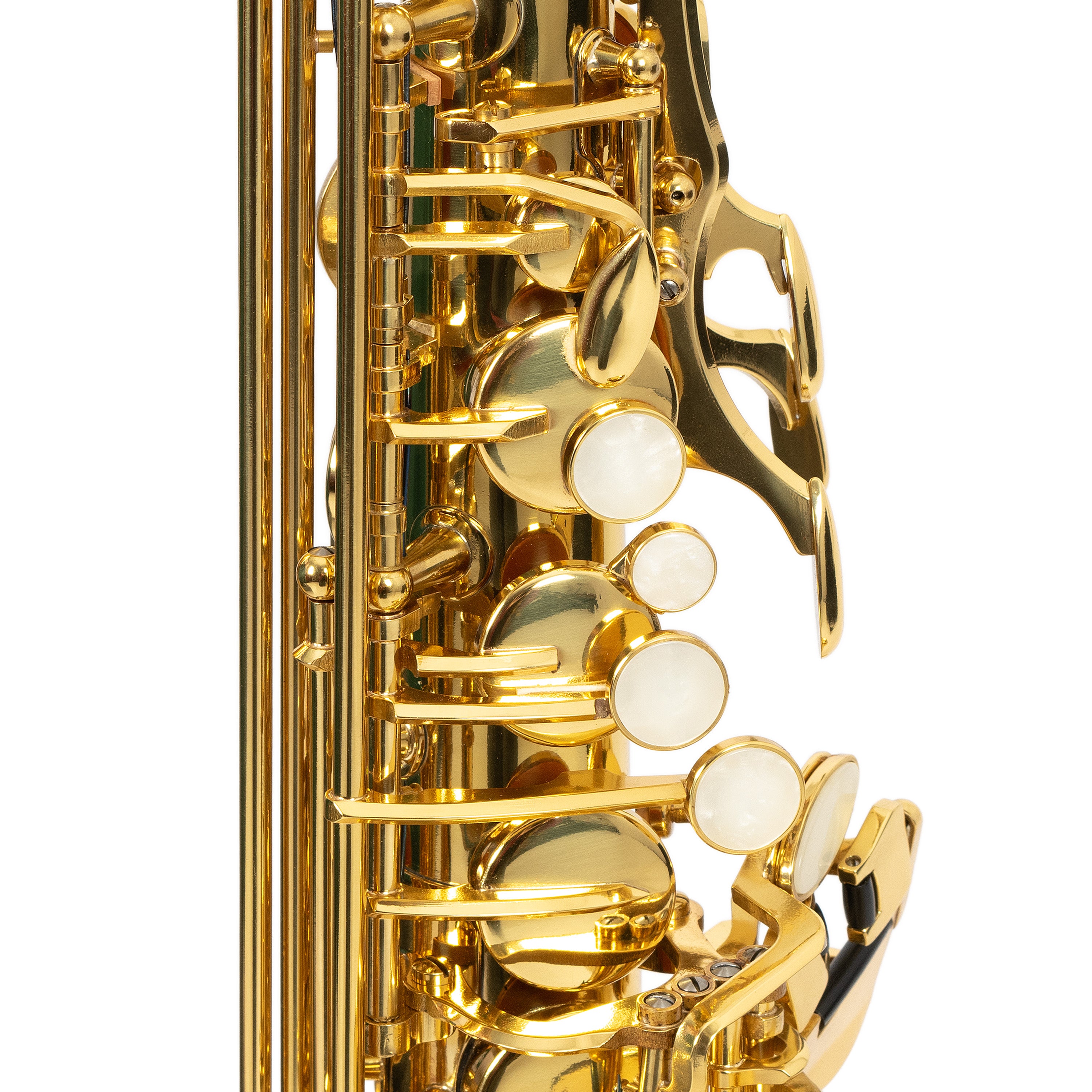 Trevor James The Horn student Eb alto saxophone outfit