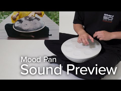 Roland MN-10 mood pan | Chamberlain Music