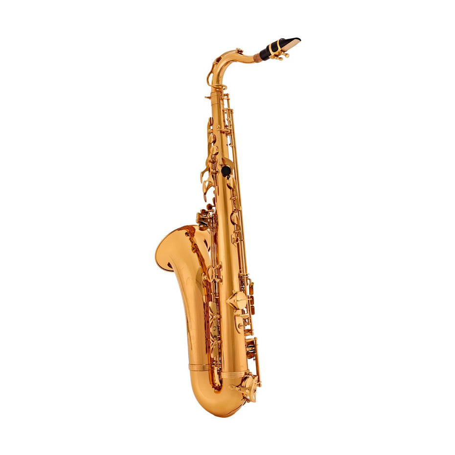 100TS - Elkhart 100TS student Bb tenor saxophone outfit Default title