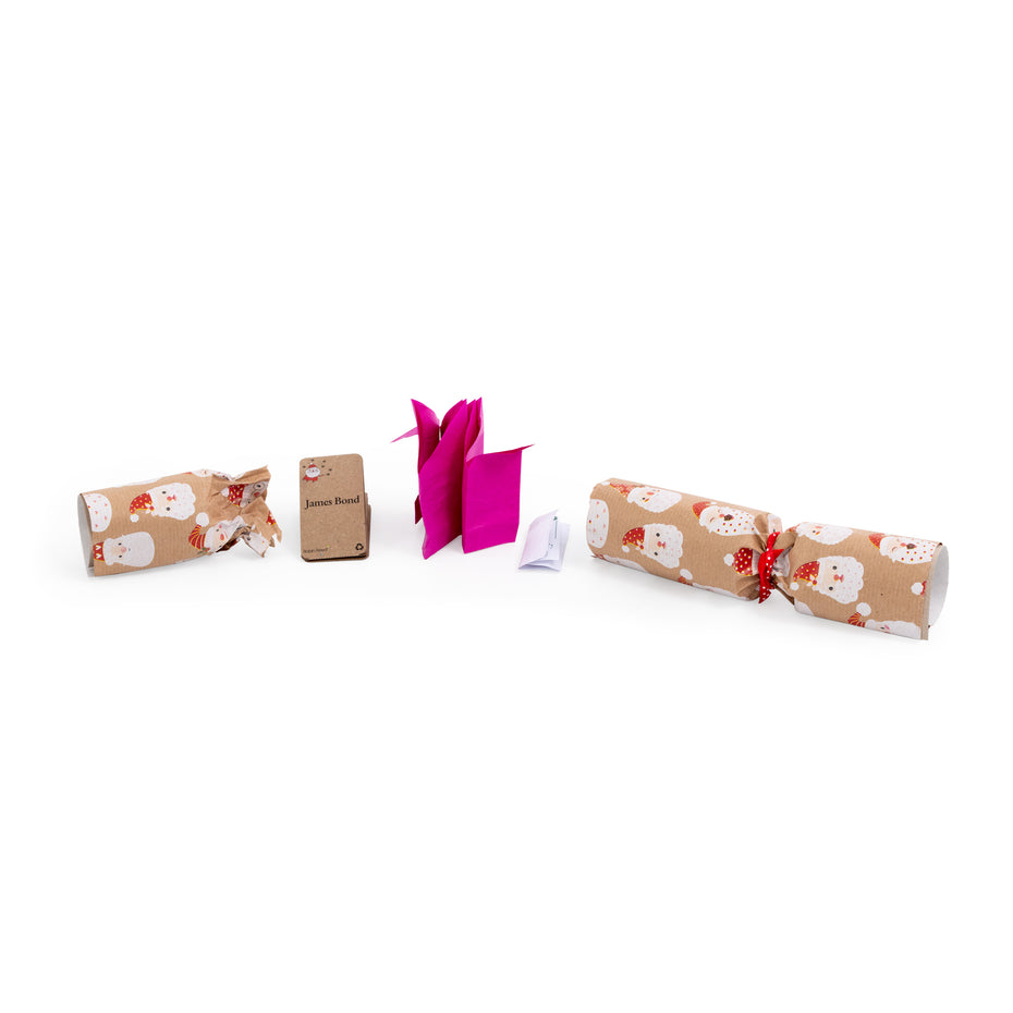 RRG62134 - Deluxe Christmas crackers containing trivia game - Santa design Default title