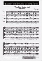 C51305 - Perez Tenebrae Factae Sunt. Default title
