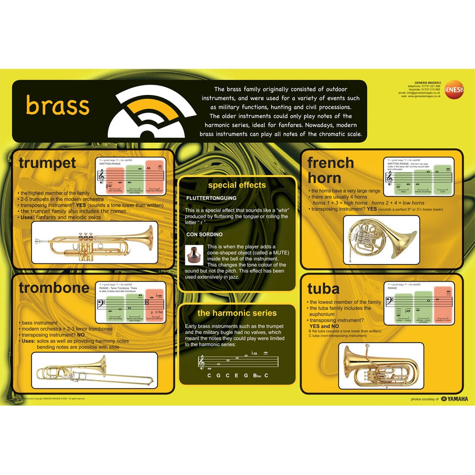 GNS-42 - Musical instruments - pack of 8 educational posters A1
