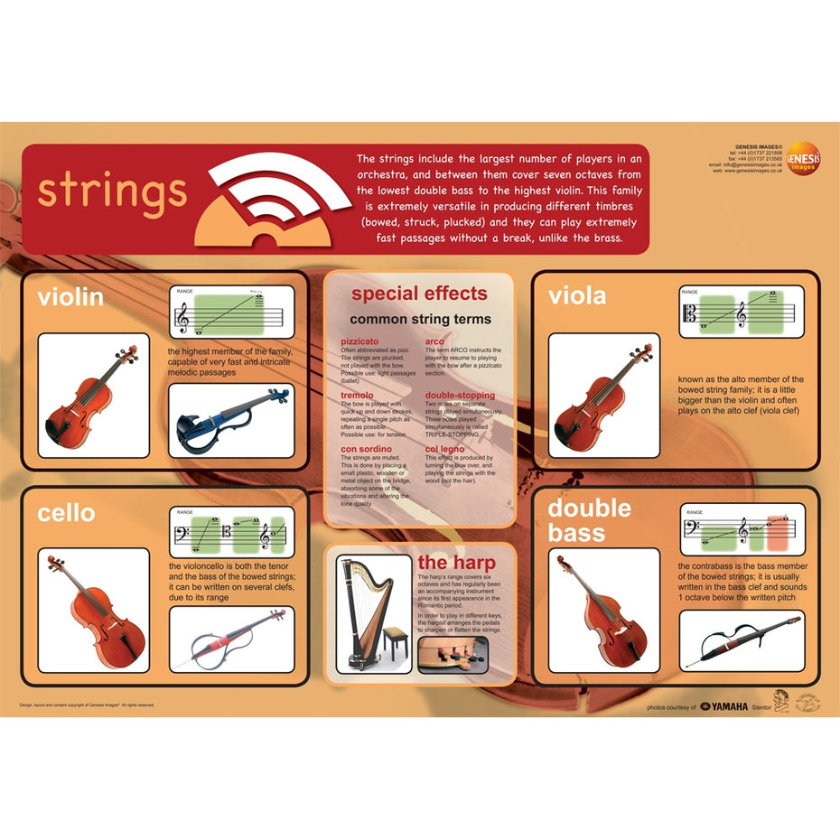 GNS-42 - Musical instruments - pack of 8 educational posters A1