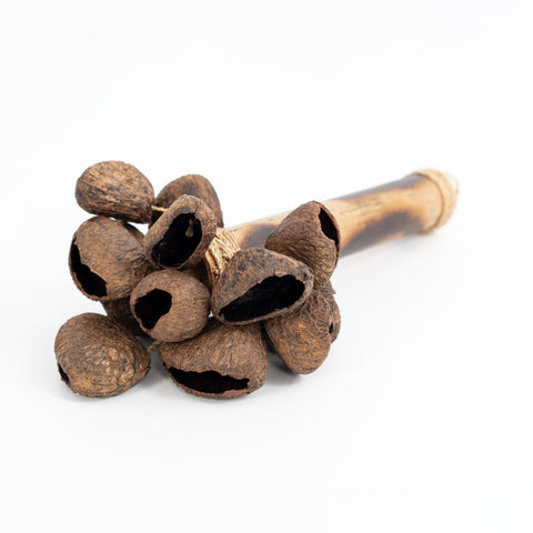 PP626 - Percussion Plus Honestly Made Pangi seed shaker Default title