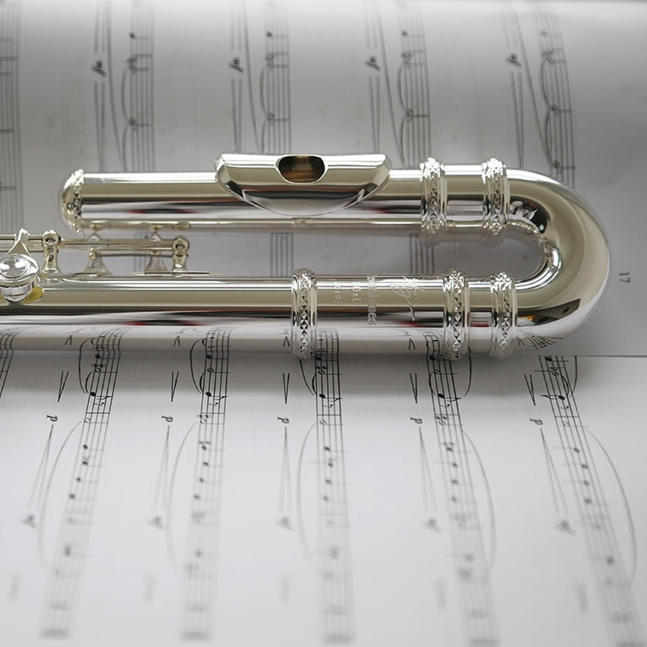 TJ3042CDEA - Trevor James 10XE-P student flute outfit with curved & straight heads Default title