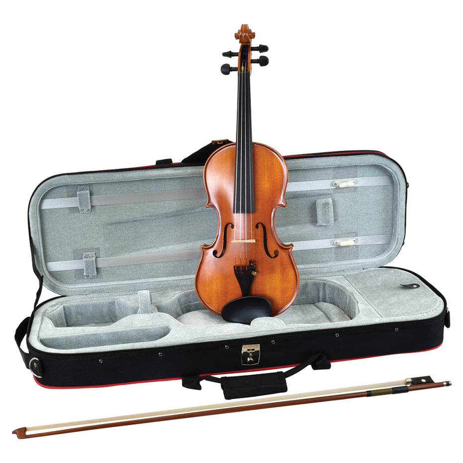 W3180A,W3180B,W3180C,W3180D - Hidersine Vivente Academy finetune full size violin outfit 4/4 size