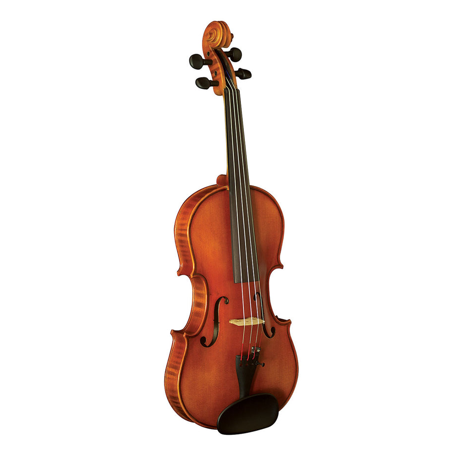 W3180A,W3180B,W3180C,W3180D - Hidersine Vivente Academy finetune full size violin outfit 1/2 size