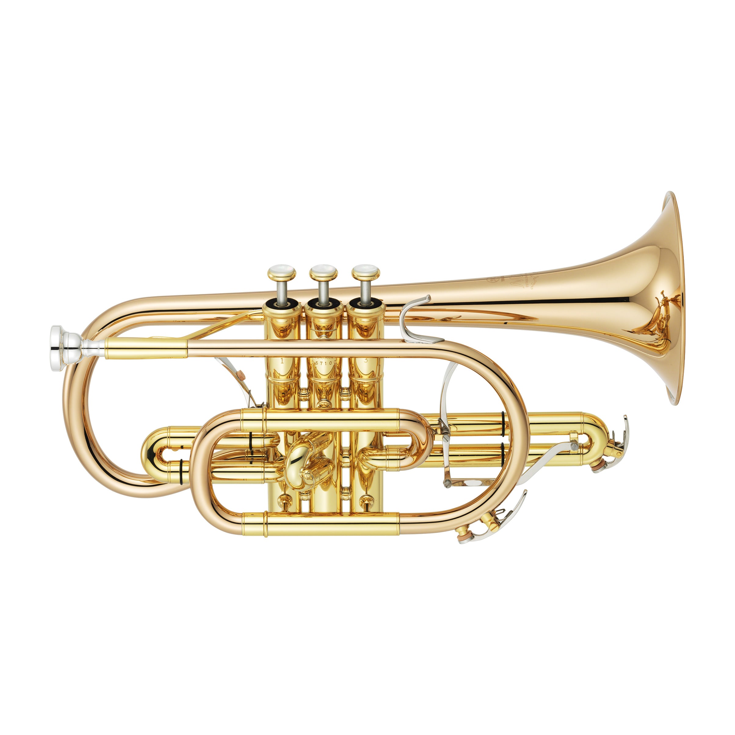 YAMAHA B♭cornet neo YCR8335S Yamaha YCR8335G Custom Neo Series Bb cornet | Chamberlain Music