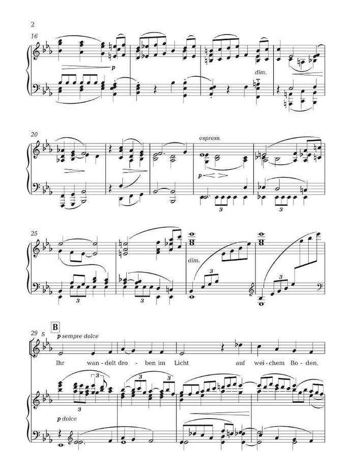 HL00373822 - Brahms Schicksalslied Op 54: Vocal Score Default title