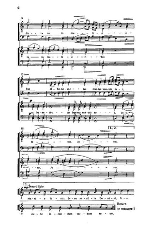 HMC1253 - Biebl - Ave Maria (Trio / TTBB) - Trio (TTB), TTBB, Bass & Tenor Solo Default title