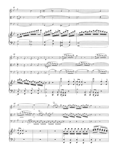 BA4728 - Quartet for Piano, Violin, Viola and Violoncello in G minor K. 478 Default title